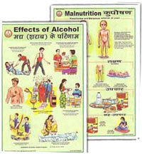 Food Charts, Detailed Human Physiology Charts, Human Anatomy Plastic Models